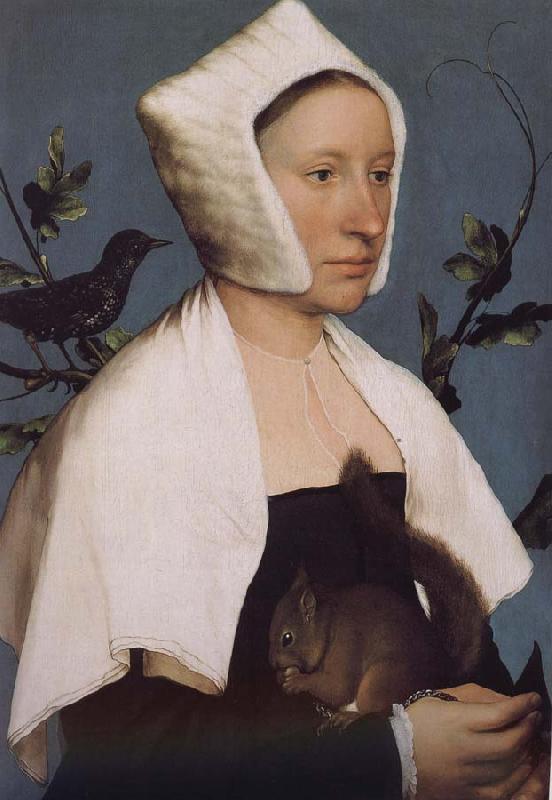 Hans Holbein With squirrels and birds swept Europe and the portrait of woman oil painting picture